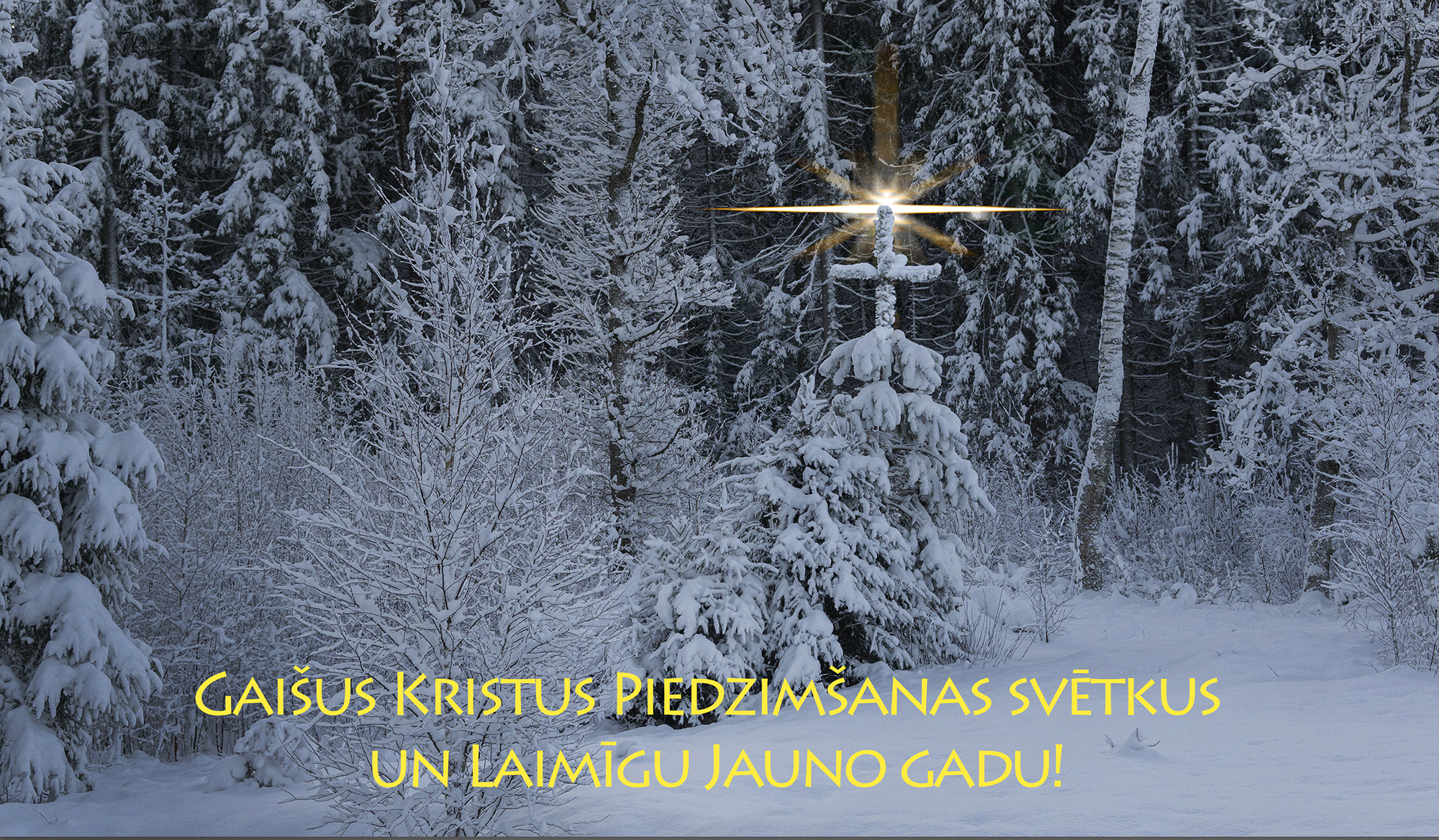 Best wishes for Blessed Christmas and Happy New Year!